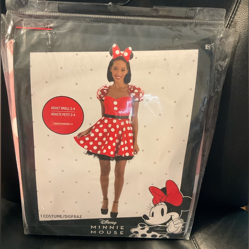 New Minnie Mouse Costume